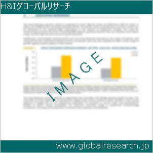 グローバルリサーチ調査レポートのイメージ